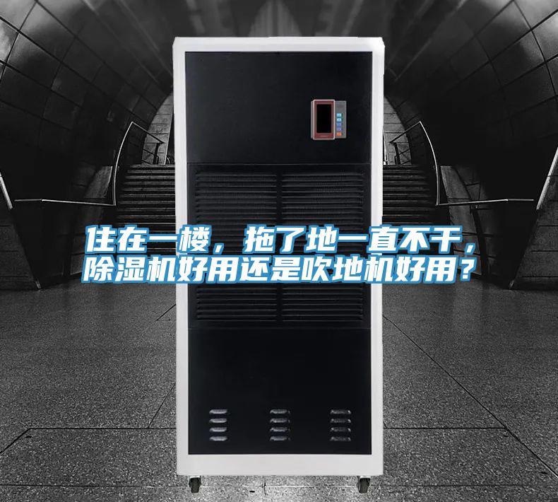 住在一樓，拖了地一直不干，除濕機好用還是吹地機好用？