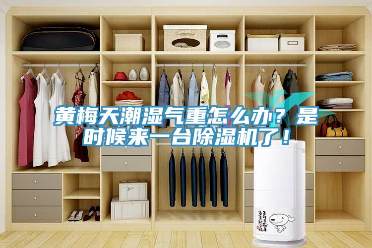 黃梅天潮濕氣重怎么辦？是時(shí)候來一臺(tái)除濕機(jī)了！