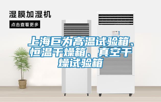 上海巨為高溫試驗箱、恒溫干燥箱、真空干燥試驗箱