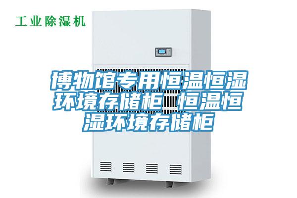 博物館專(zhuān)用恒溫恒濕環(huán)境存儲(chǔ)柜 恒溫恒濕環(huán)境存儲(chǔ)柜
