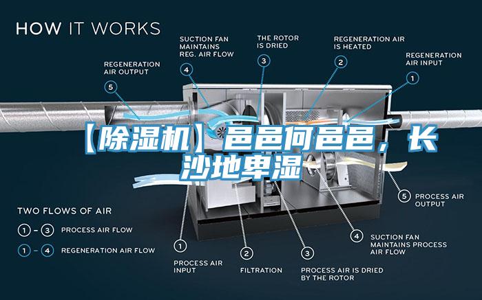 【除濕機(jī)】邑邑何邑邑，長(zhǎng)沙地卑濕