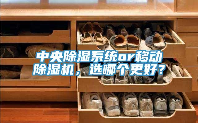 中央除濕系統(tǒng)or移動除濕機(jī)，選哪個更好？