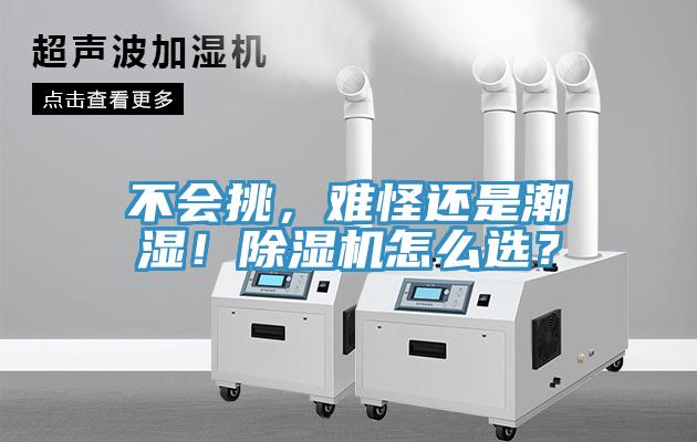 不會挑，難怪還是潮濕！除濕機怎么選？