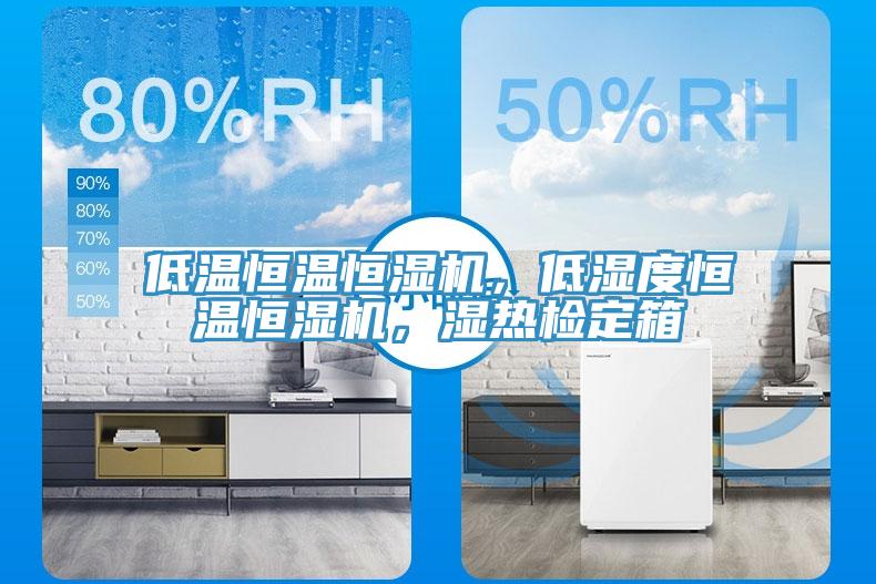 低溫恒溫恒濕機(jī)，低濕度恒溫恒濕機(jī)，濕熱檢定箱
