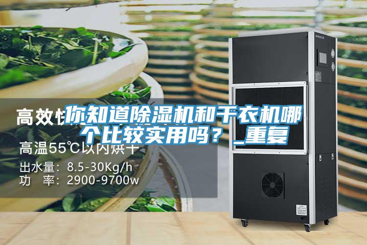你知道除濕機和干衣機哪個比較實用嗎？_重復