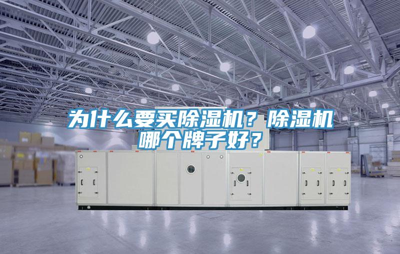 為什么要買除濕機(jī)？除濕機(jī)哪個牌子好？