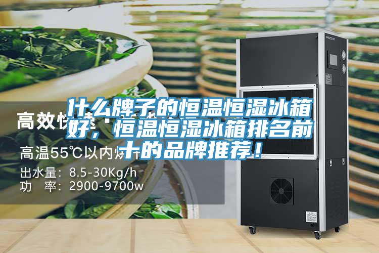 什么牌子的恒溫恒濕冰箱好，恒溫恒濕冰箱排名前十的品牌推薦！