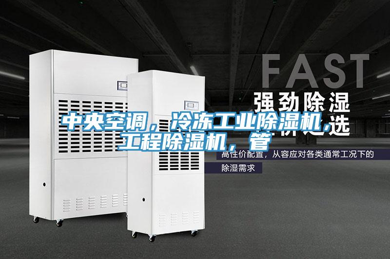 中央空調(diào)，冷凍工業(yè)除濕機(jī)，工程除濕機(jī)，管