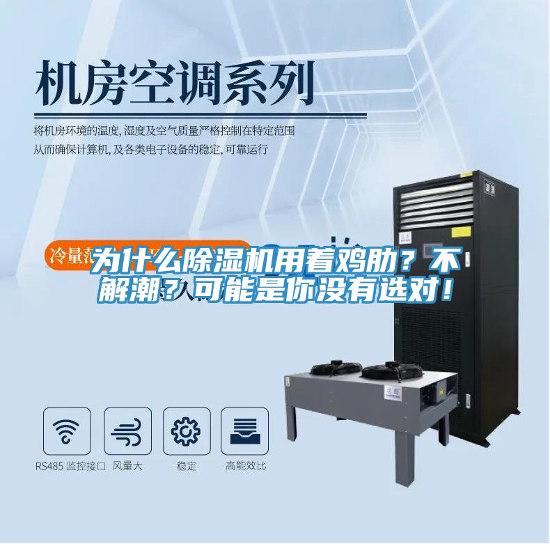 為什么除濕機用著雞肋？不解潮？可能是你沒有選對！