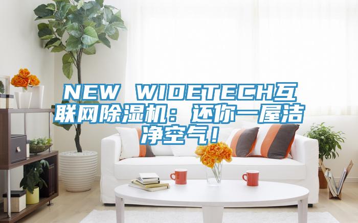NEW WIDETECH互聯(lián)網(wǎng)除濕機(jī)：還你一屋潔凈空氣！