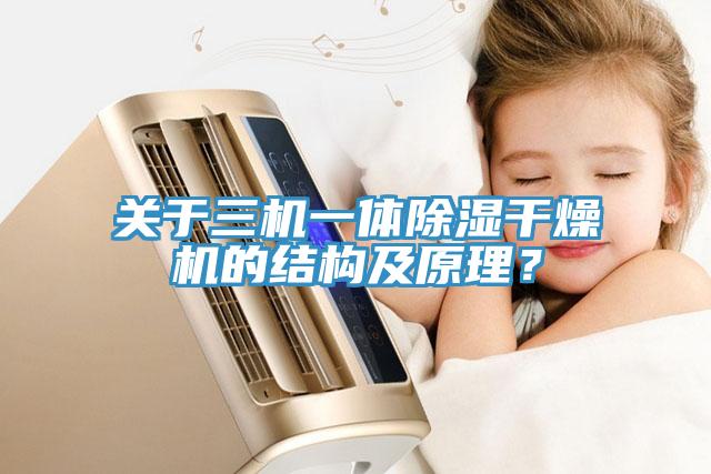 關(guān)于三機(jī)一體除濕干燥機(jī)的結(jié)構(gòu)及原理？