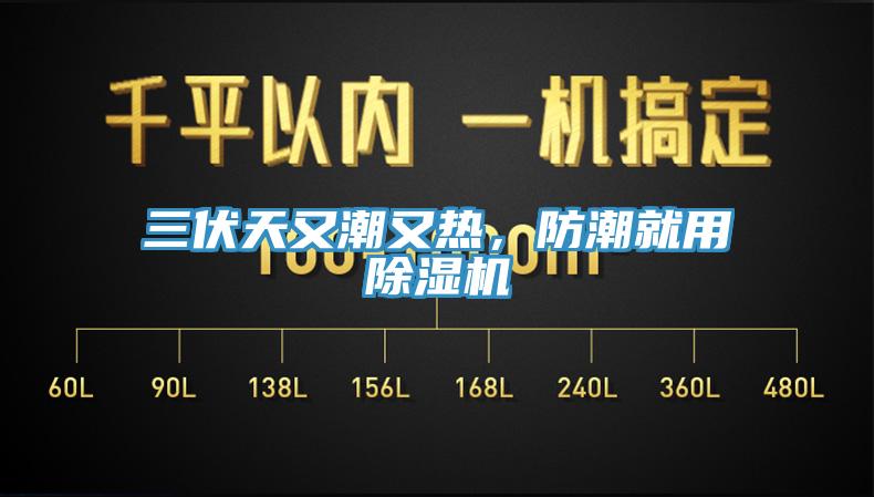 三伏天又潮又熱，防潮就用除濕機(jī)