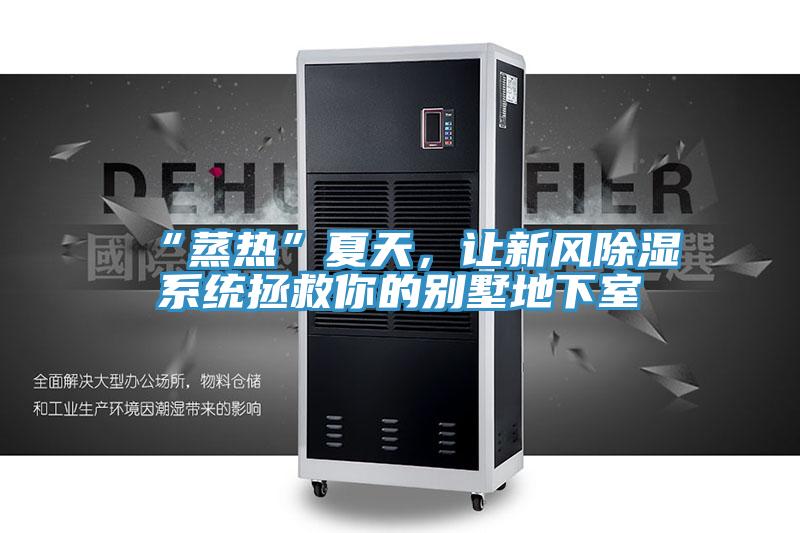 “蒸熱”夏天，讓新風(fēng)除濕系統(tǒng)拯救你的別墅地下室