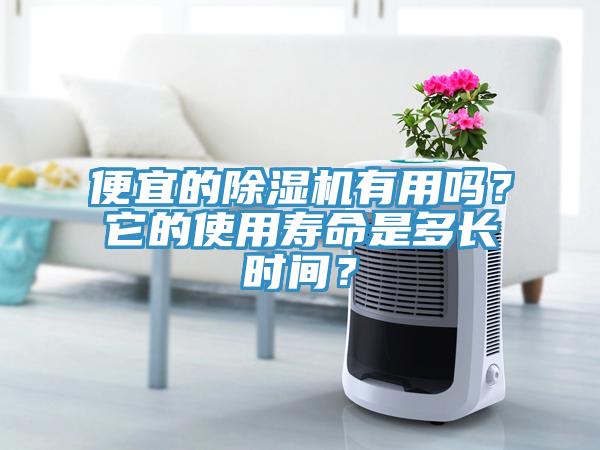 便宜的除濕機有用嗎？它的使用壽命是多長時間？