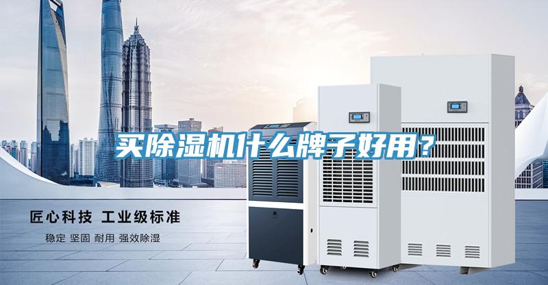 買(mǎi)除濕機(jī)什么牌子好用？