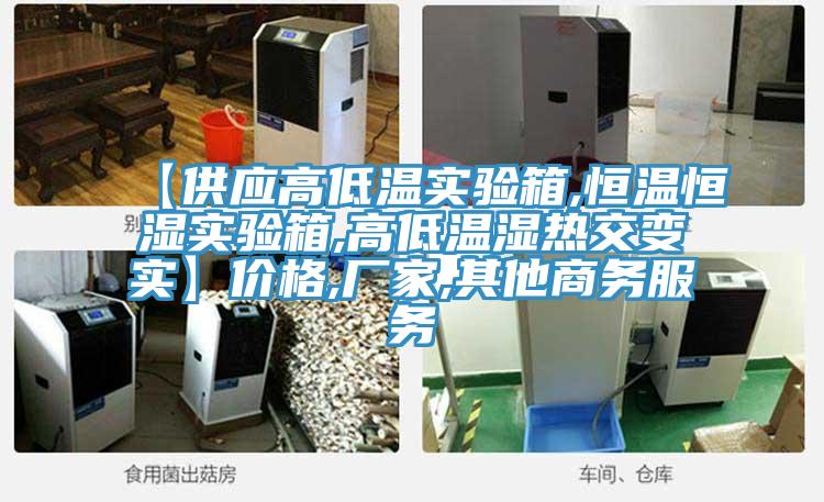 【供應(yīng)高低溫實(shí)驗(yàn)箱,恒溫恒濕實(shí)驗(yàn)箱,高低溫濕熱交變實(shí)】?jī)r(jià)格,廠(chǎng)家,其他商務(wù)服務(wù)