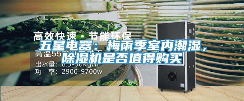 五星電器：梅雨季室內(nèi)潮濕，除濕機(jī)是否值得購(gòu)買