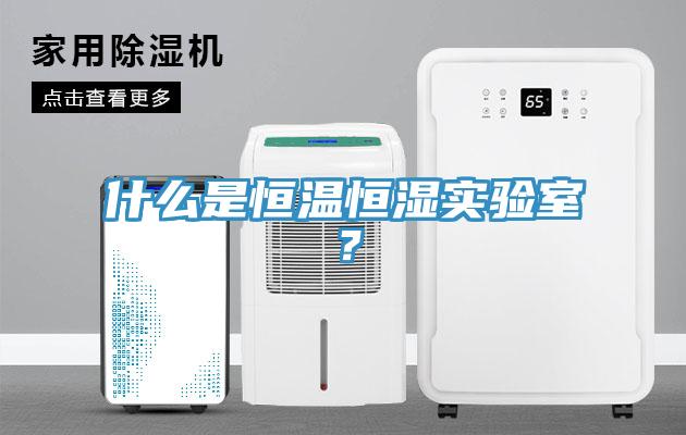 什么是恒溫恒濕實(shí)驗(yàn)室？