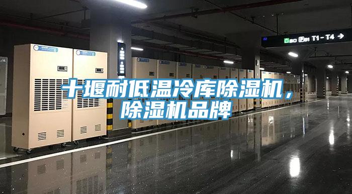 十堰耐低溫冷庫除濕機(jī)，除濕機(jī)品牌