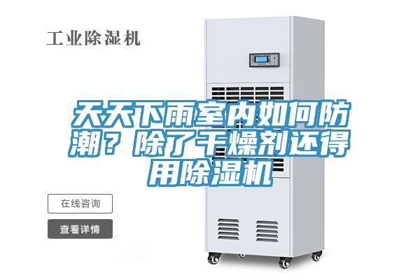 天天下雨室內(nèi)如何防潮？除了干燥劑還得用除濕機(jī)