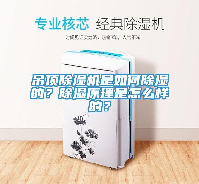吊頂除濕機(jī)是如何除濕的？除濕原理是怎么樣的？