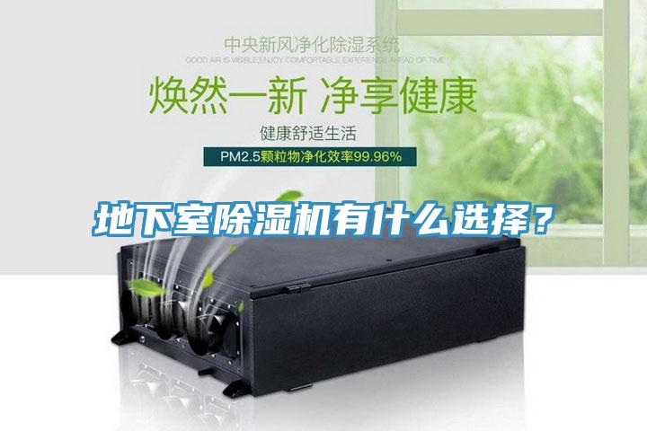 地下室除濕機(jī)有什么選擇？