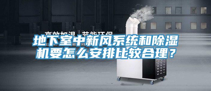 地下室中新風(fēng)系統(tǒng)和除濕機(jī)要怎么安排比較合理？