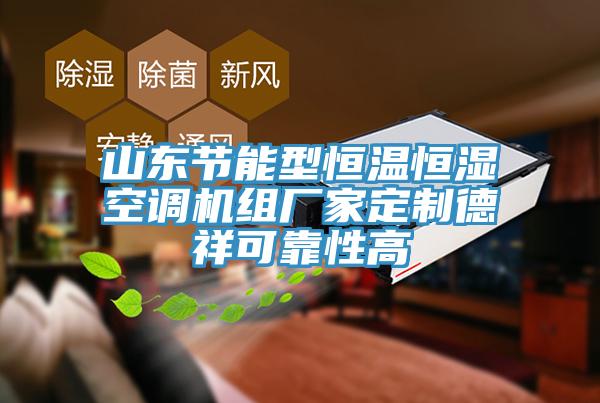 山東節(jié)能型恒溫恒濕空調(diào)機(jī)組廠(chǎng)家定制德祥可靠性高