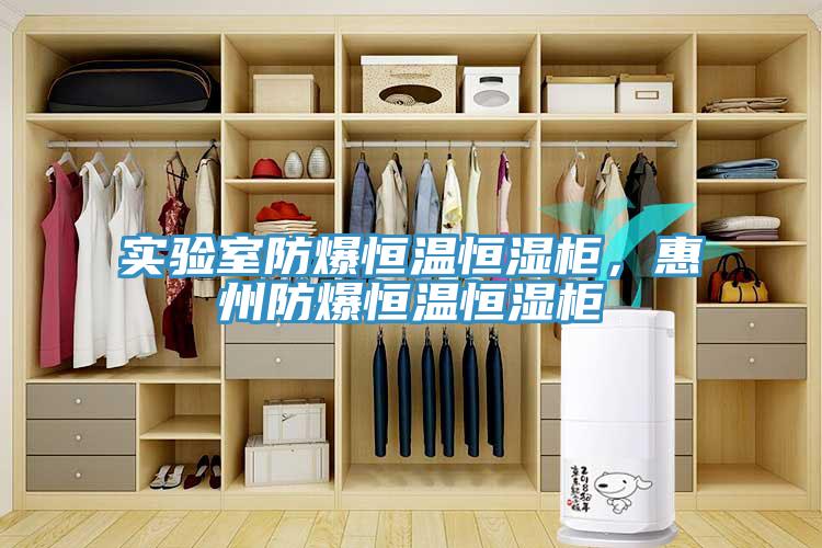 實驗室防爆恒溫恒濕柜，惠州防爆恒溫恒濕柜