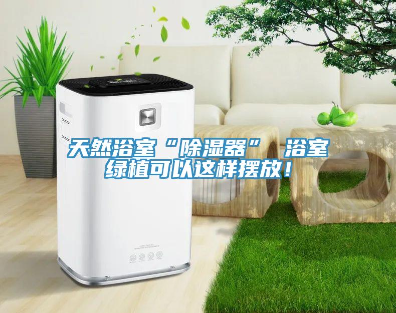 天然浴室“除濕器” 浴室綠植可以這樣擺放！