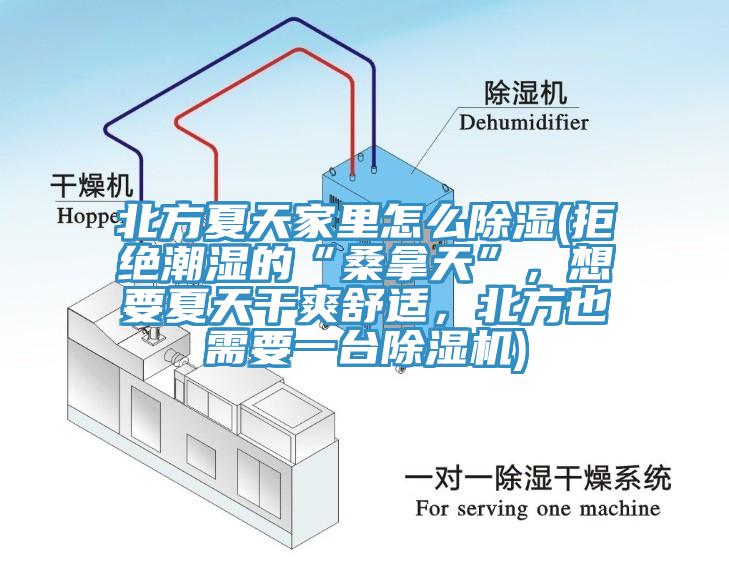 北方夏天家里怎么除濕(拒絕潮濕的“桑拿天”，想要夏天干爽舒適，北方也需要一臺除濕機(jī))