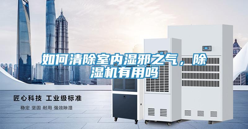 如何清除室內(nèi)濕邪之氣，除濕機(jī)有用嗎