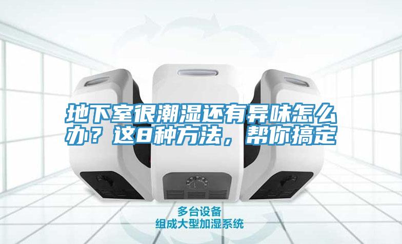 地下室很潮濕還有異味怎么辦？這8種方法，幫你搞定