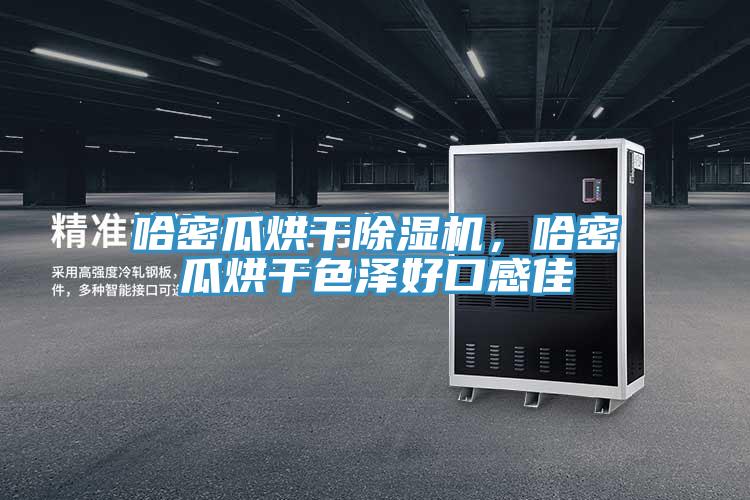 哈密瓜烘干除濕機，哈密瓜烘干色澤好口感佳
