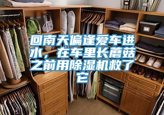 回南天偏逢愛車進(jìn)水，在車?yán)镩L蘑菇之前用除濕機(jī)救了它