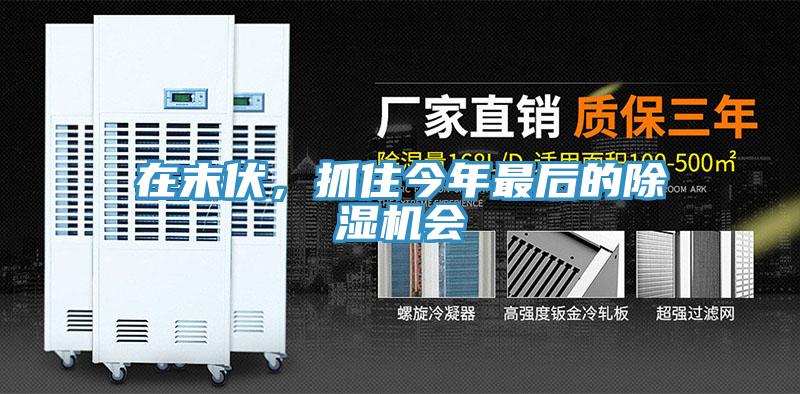 在末伏，抓住今年最后的除濕機(jī)會