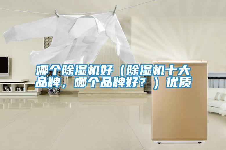 哪個除濕機(jī)好（除濕機(jī)十大品牌，哪個品牌好？）優(yōu)質(zhì)