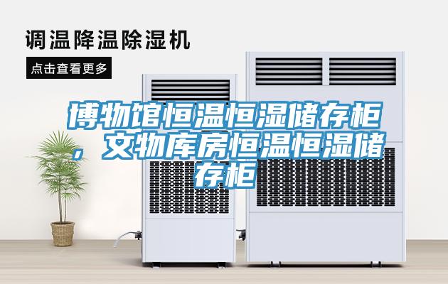 博物館恒溫恒濕儲(chǔ)存柜，文物庫(kù)房恒溫恒濕儲(chǔ)存柜