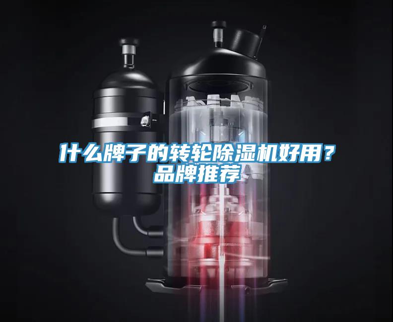 什么牌子的轉(zhuǎn)輪除濕機好用？品牌推薦