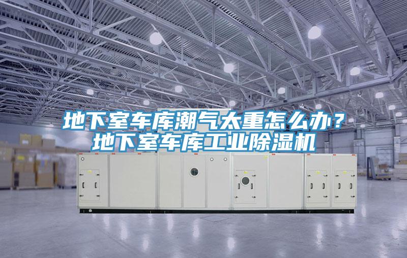 地下室車庫潮氣太重怎么辦？地下室車庫工業(yè)除濕機(jī)