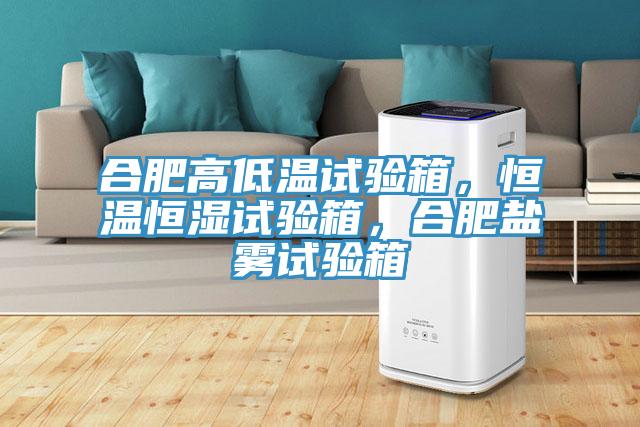 合肥高低溫試驗箱，恒溫恒濕試驗箱，合肥鹽霧試驗箱