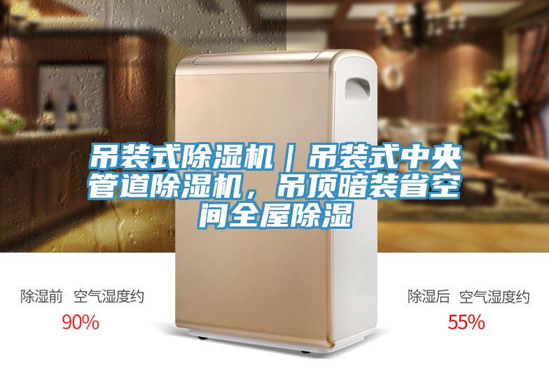 吊裝式除濕機(jī)｜吊裝式中央管道除濕機(jī)，吊頂暗裝省空間全屋除濕