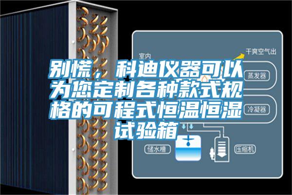 別慌，科迪儀器可以為您定制各種款式規(guī)格的可程式恒溫恒濕試驗(yàn)箱