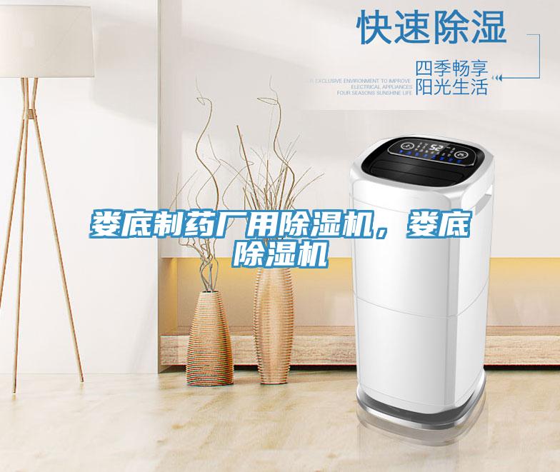 婁底制藥廠用除濕機(jī)，婁底除濕機(jī)