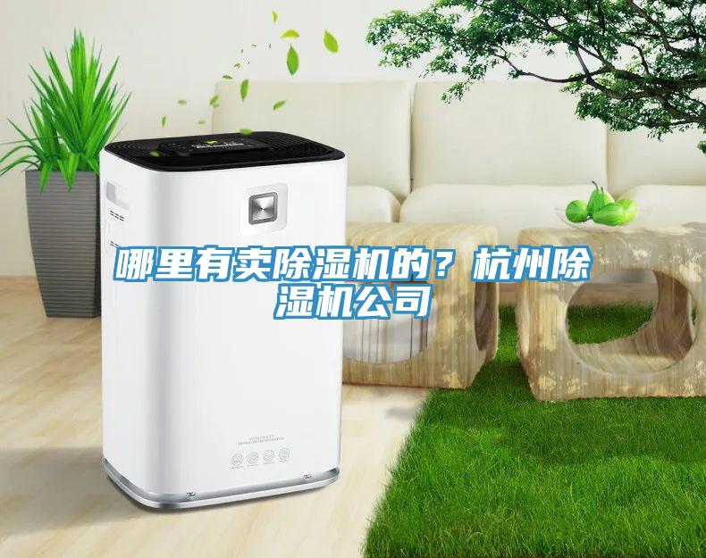哪里有賣除濕機的？杭州除濕機公司