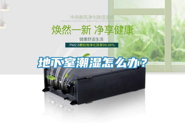 地下室潮濕怎么辦？