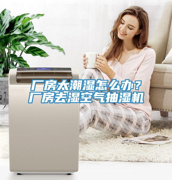 廠房太潮濕怎么辦？廠房去濕空氣抽濕機