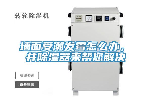 墻面受潮發(fā)霉怎么辦，東井除濕器來(lái)幫您解決