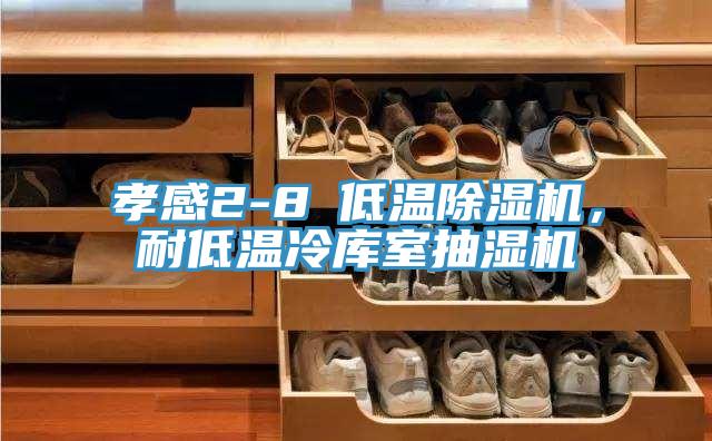 孝感2-8℃低溫除濕機(jī)，耐低溫冷庫室抽濕機(jī)