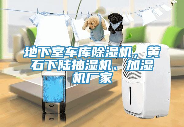 地下室車庫除濕機，黃石下陸抽濕機、加濕機廠家